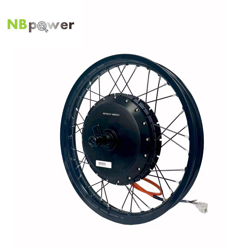 NBpower/170mm Dropout QS 273 4 – Qs Motor 273 8000W Hub Motor Bewertung und Preis