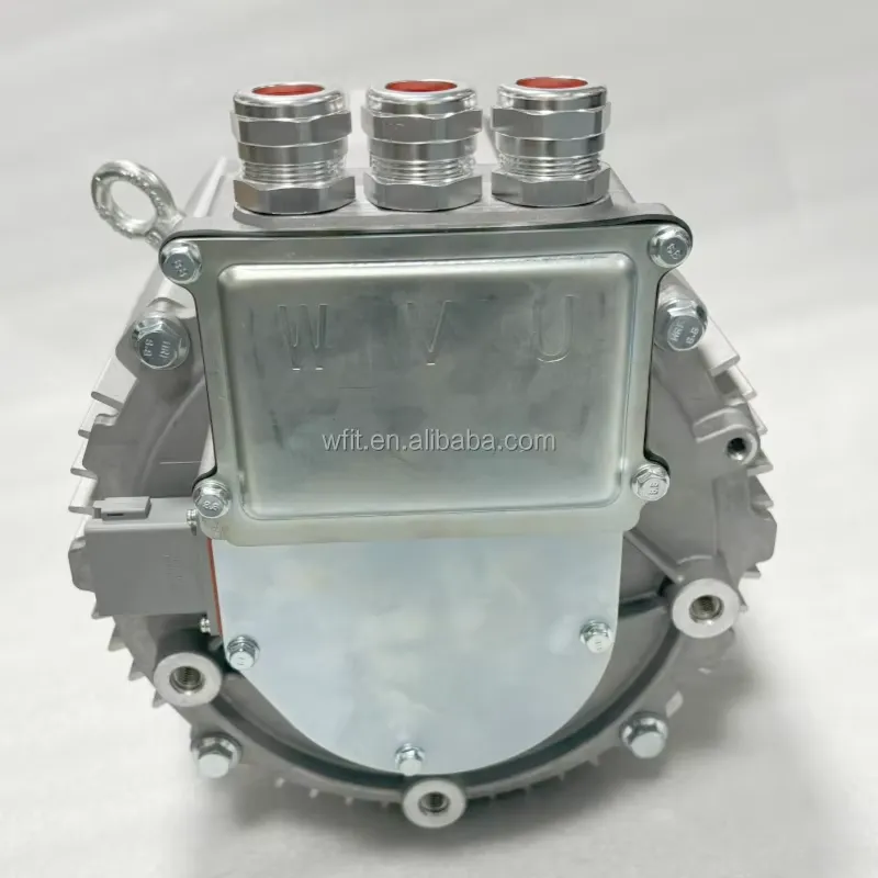 PMSM Nennleistung 20kW Spitzen – Ev Electric Motor Conversion Kit Car Bewertung und Preis